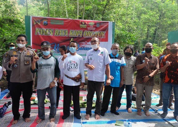 Panen Raya Kopi, Pengalaman Pertama Kapolres Lumajang Memetik Kopi