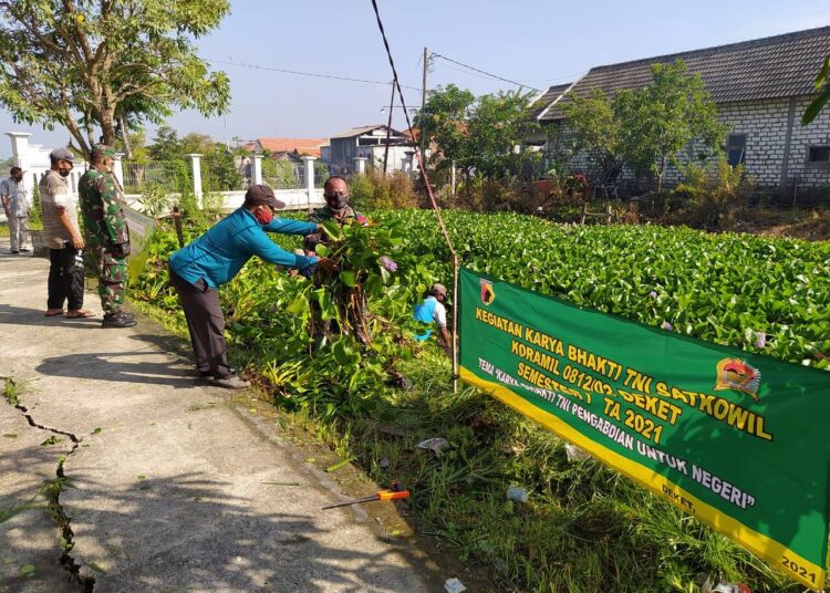 Koramil 0812/02 Deket  Bersihkan Enceng Gondok Bersama Warga