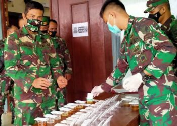 Antisipasi Penyalahgunaan Narkoba, Personel Denzibang1/Stg ikuti Sosialisasi Penyuluhan P4GN danTes Urine