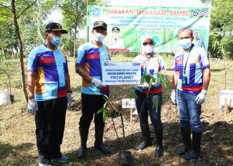 Peduli Lingkungan, Bupati YES Lakukan Pencanangan Penanaman Bambu