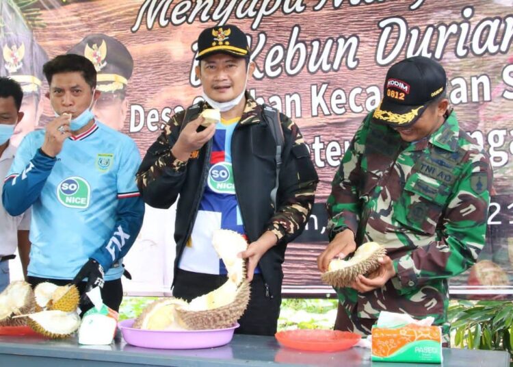 Optimis Kebangkitan Ekonomi Dari Desa Agrowisata