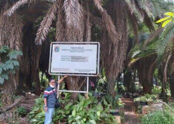 Tindak Pidana Penguasaan Lahan Tanpa Izin Yang Berhak