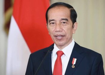 Jokowi Resmi Luncurkan OSS, Genjot Investasi RI
