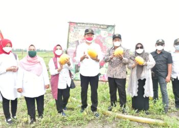 Membangun Ketahanan Pangan Di Tengah Pandemi