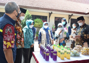 Poli Lansia Puskesmas Terpadu Program Asman, Rintisan Model Awal Griya Sehat