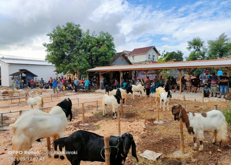 BUMDES Desa Bluri Solokuro Peresmian Unit Usaha Baru Pasar Kambing