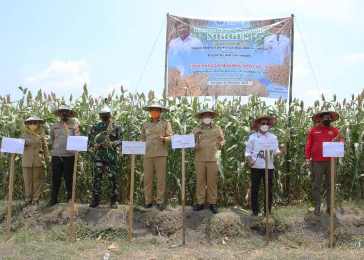 Bupati Yes : Sorgum Komoditas Pangan Lokal Potensial Lamongan