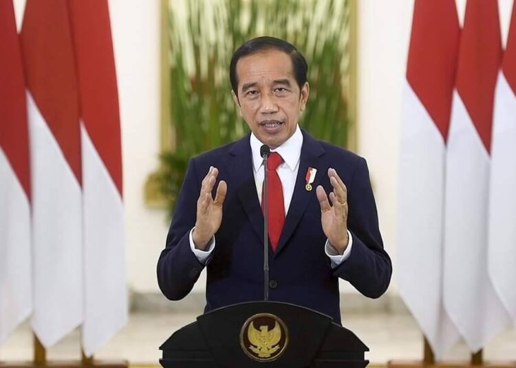 Presiden Jokowi Ingatkan Peran Sentral Pemuda sebagai Pemimpin Perubahan