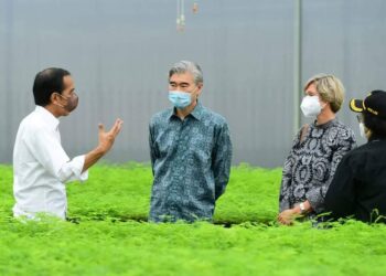 Ajak Dubes Negara Sahabat, Presiden Jokowi Tinjau Persemaian Rumpin