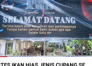 Gelaran Kontes ikan cupang Liga Jawa Timur sukses di Banyuwangi