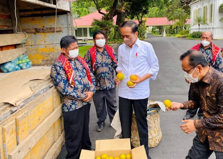 Presiden Jokowi Terima Perwakilan Warga Liang Melas Datas di Istana