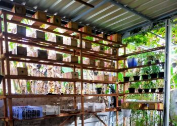 Masyarakat Lamongan Harus Waspada, Ratusan Orang Di Babat Kena Tipu Investasi Abal-abal Lebah Madu Klanceng