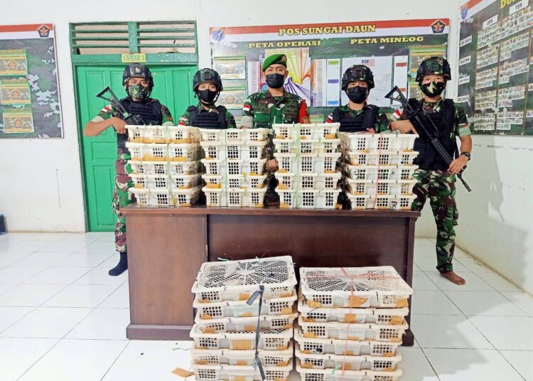 Satgas Pamtas Yonif Mekanis 643/Wns Kembali Mengamankan Satwa Liar Ilegal Di Perbatasan