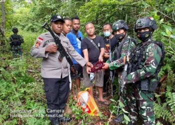 Laksanakan Patroli Gabungan, Satgas Pamtas RI-PNG Yonif 711/Raksatama Berhasil Amankan Barang Bukti Ganja