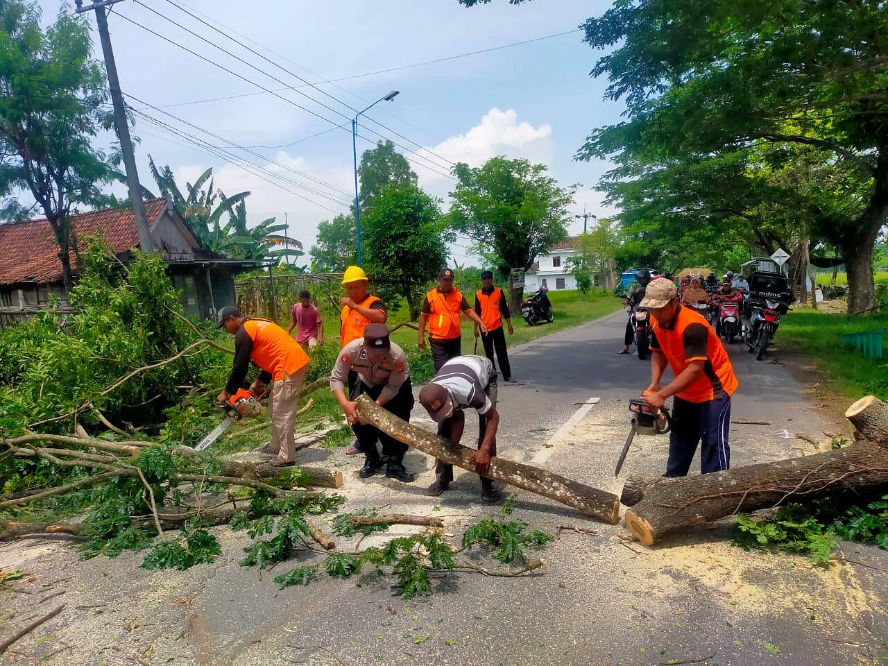 Polsek Pangkur Bersama Posramil dan Destana Evakuasi Pohon Tumbang