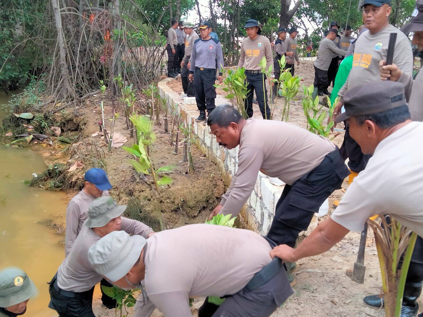 Sambut HUT Brimob Polri ke 77, Eks Brimob Polres Tuban Tanam Pohon