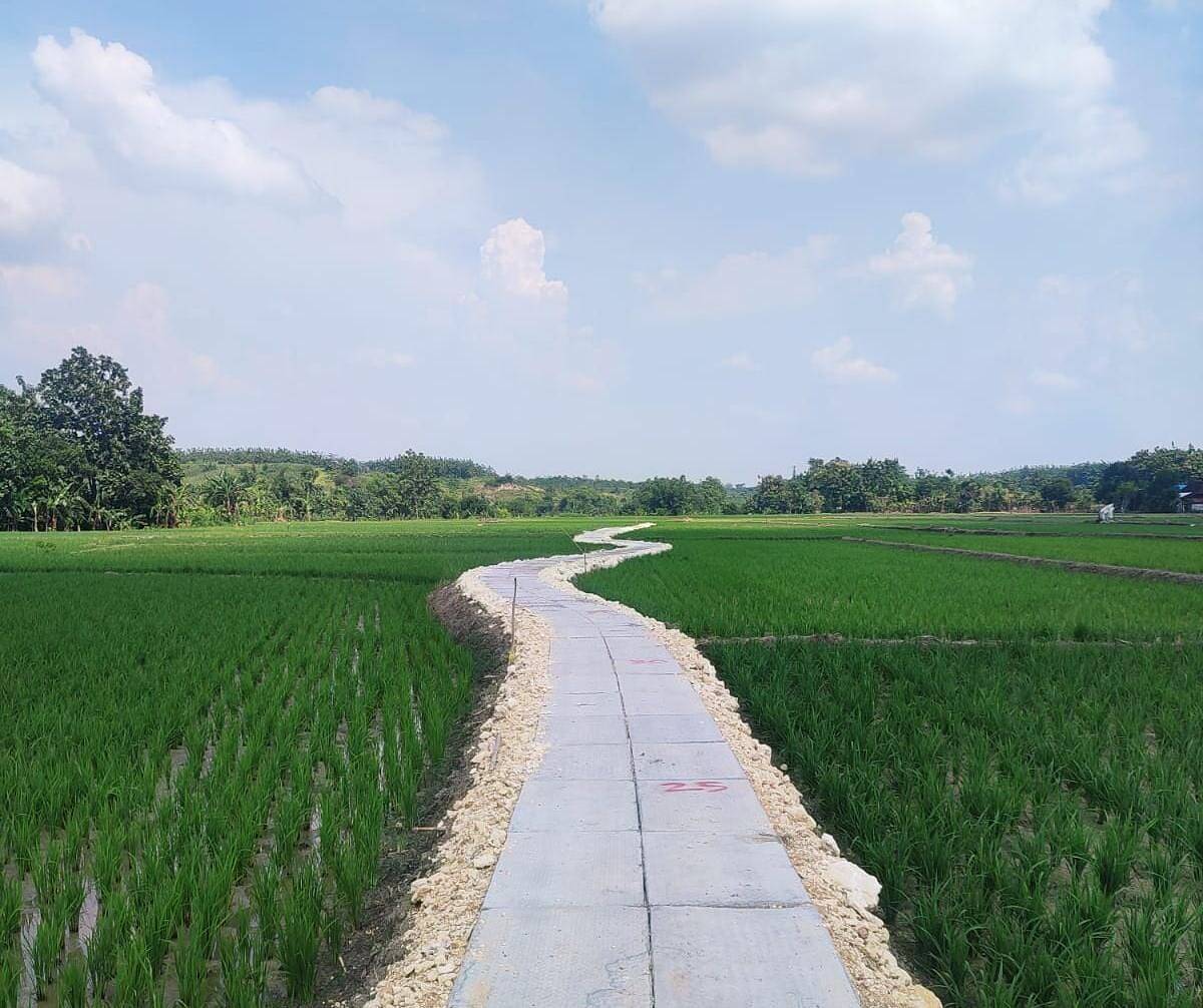 Pemkab Bojonegoro Realisasikan 30.806 Meter Program JUT di 22 Kecamatan