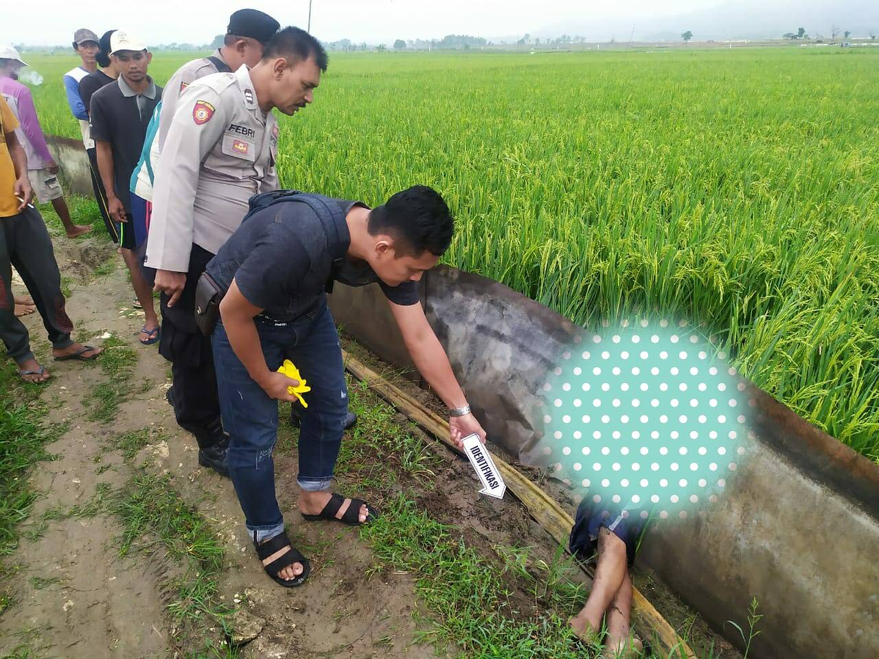 Petani di Mrutuk Meninggal Dunia Tersetrum Jebakan Tikus di Sawah