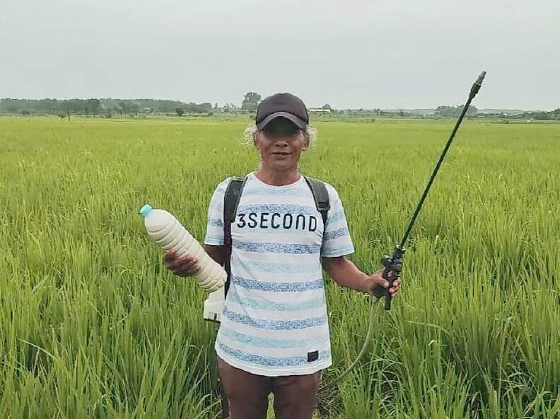 Desa Sumurgenuk – Lamongan Terapkan Sentra Pertanian Organik sejak  Tahun 80-an