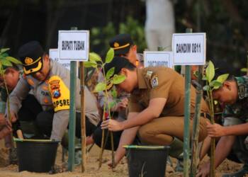 Ikuti Penanaman Mangrove, Mas Lindra: Program Ini Selaras dengan Program Pemkab Tuban