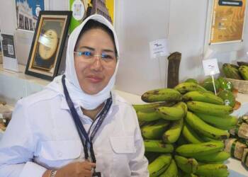 Pemerintah Perkuat Ketahanan Pangan melalui KUR untuk Petani