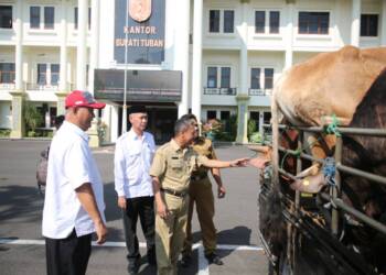 Pemkab Tuban Targetkan Kurban 25 Sapi dan 15 Kambing di Idul Adha 2023