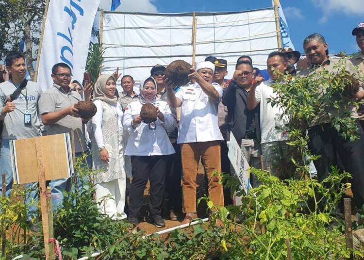 Porang Sebagai Terobosan Inovatif untuk Ketahanan Pangan dan Pertumbuhan Ekonomi.