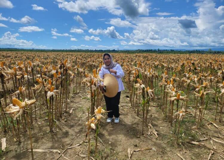 Penguatan Ketahanan Pangan dengan Smart Farming dan Agritech