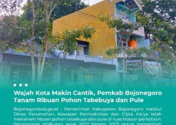 Pemkab Bojonegoro Tanam Ribuan Pohon Tabebuya dan Pule