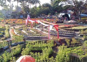 Sawah Kakung Magelang: Berpadunya Keindahan Alam dan Agrowisata Penopang Kemandirian Pangan