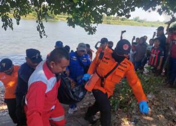 Korban Tenggelam di Sungai Bengawan Solo Berhasil Ditemukan.