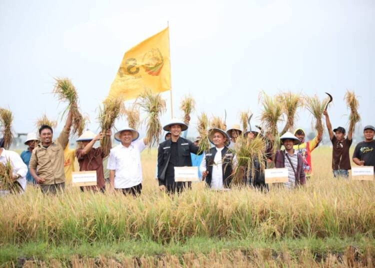 Panen Raya di Tuban, Bakal Jadi Pilot Projek Pertanian Model Agro Ekologi