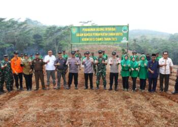 Dandim 0613/Ciamis Pimpin Gerakan Penanaman Jagung di Lahan Kritis Seluas 10 Hektar