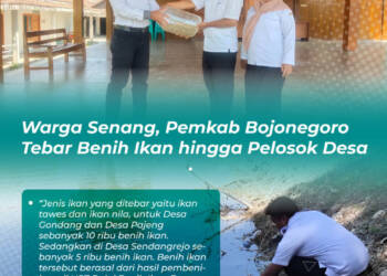 Bantuan Benih Ikan Pemkab Sampai Pelosok Desa, Warga Bojonegoro Senang