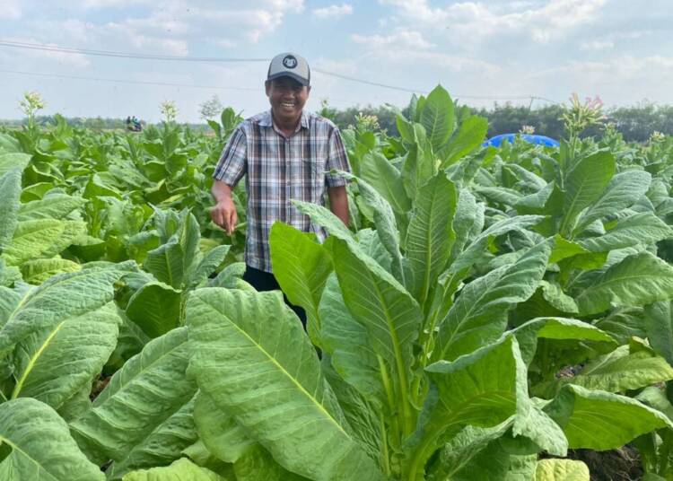 Dapat Bantuan Benih dan Pupuk dari Pemkab Bojonegoro, Petani Sumringah Panen Bagus