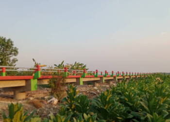 Pemdes Tlogoagung – Baureno Bangun Flyover, Permudah Akses Pertanian.