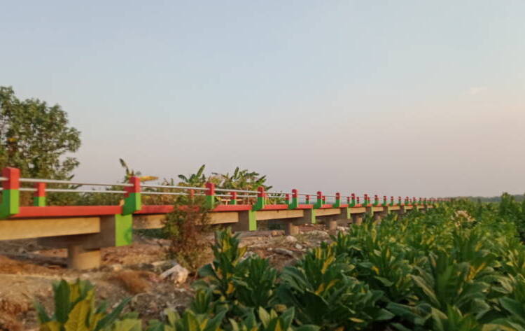 Pemdes Tlogoagung – Baureno Bangun Flyover, Permudah Akses Pertanian.