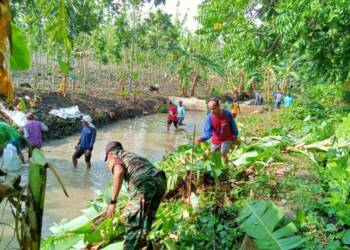Babinsa Koramil 0812/07 Bluluk Bersama Warga Gotong-royong Bersihkan Irigasi.