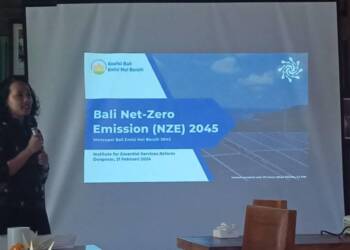 Direktur Eksekutif IESR Nusa Penida Berpeluang Menjadi Pulau Percontohan Berbasis Energi Terbarukan