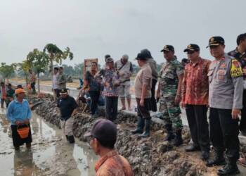 Kapolsek Bersama Forkopimcam Maduran Ikuti Giat Pengendalian Hama