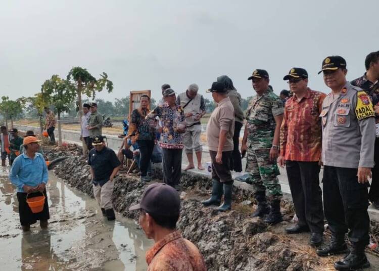 Kapolsek Bersama Forkopimcam Maduran Ikuti Giat Pengendalian Hama