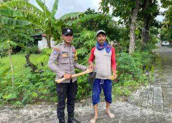Kapolsek Laren Imbau Petani Tak Gunakan Strum Jebakan Tikus