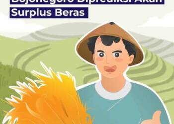 Bojonegoro Diprediksi Akan Surplus Beras di Maret dan April 2024