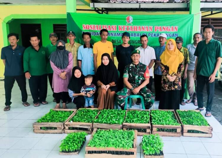 Pemdes dan Babinsa Tulungrejo Bojonegoro Sosialisasi Gerakan Tanam Cabe