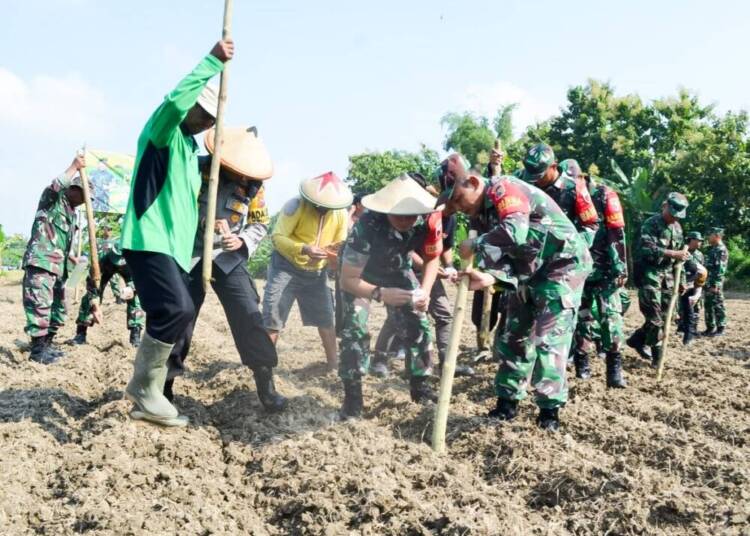Kodim Bojonegoro Tanam Jagung Seluas 60 Hektar