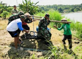 Babinsa Kodim Bojonegoro Bantu Petani, Sukseskan Program Pompanisasi Kementan