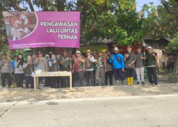 Cegah PMK, Ini Upaya TNI-POLRI dan Dinas Terkait di Lamongan