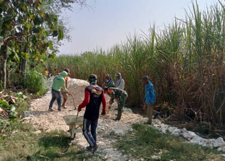 Babinsa Koramil Bluluk dan Warga Gotong-royong Perbaiki Akses Jalan Pertanian