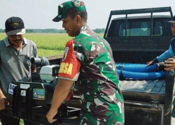 Babinsa Koramil 0812-12 Modo Bantu Petani Pasang Pompa Brigade