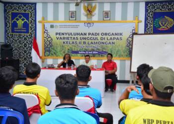 WBP Lapas Lamongan Terima Penyuluhan Padi Organik Varietas Unggul